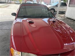 1997 Ford Mustang SVT Cobra (CC-2119336) for sale in Punta Gorda, Florida