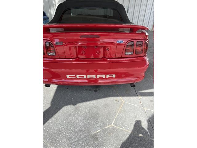 1997 Ford Mustang SVT Cobra (CC-2119336) for sale in Punta Gorda, Florida