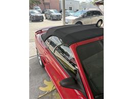 1997 Ford Mustang SVT Cobra (CC-2119336) for sale in Punta Gorda, Florida