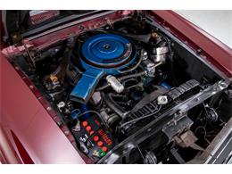 1969 Shelby GT500 (CC-2119383) for sale in Halton Hills, Ontario