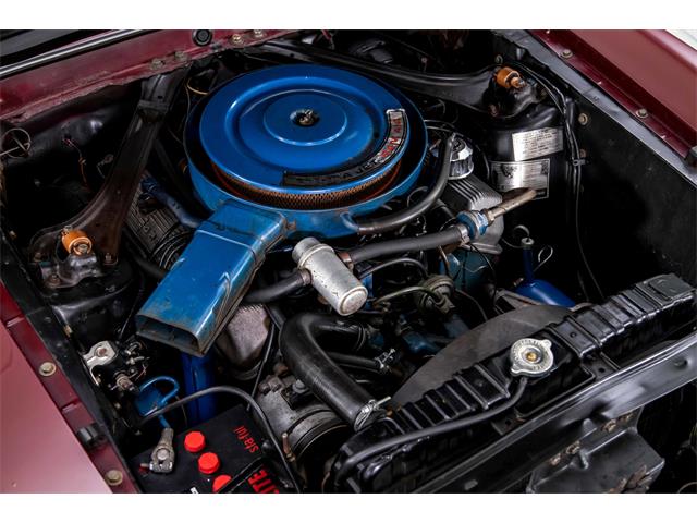 1969 Shelby GT500 (CC-2119383) for sale in Halton Hills, Ontario