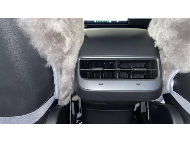 2022 Tesla Model 3 (CC-2110940) for sale in Cadillac, Michigan