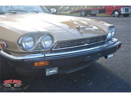 1987 Jaguar XJS (CC-2119400) for sale in Elkhart, Indiana