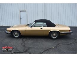 1987 Jaguar XJS (CC-2119400) for sale in Elkhart, Indiana