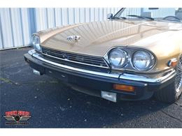 1987 Jaguar XJS (CC-2119400) for sale in Elkhart, Indiana