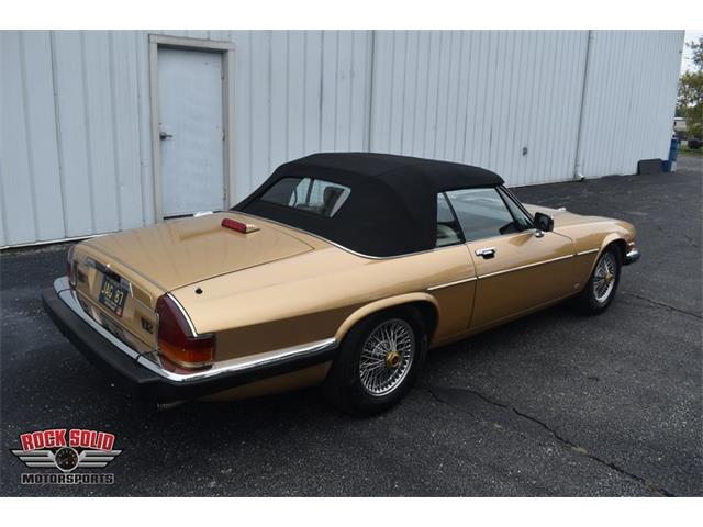 1987 Jaguar XJS (CC-2119400) for sale in Elkhart, Indiana
