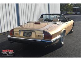 1987 Jaguar XJS (CC-2119400) for sale in Elkhart, Indiana