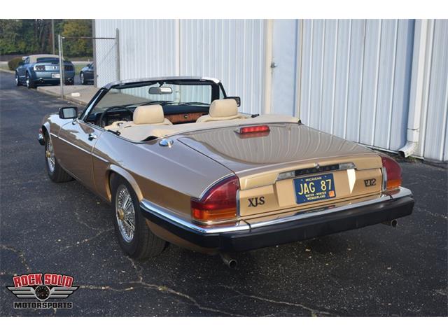 1987 Jaguar XJS (CC-2119400) for sale in Elkhart, Indiana