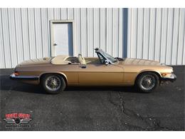 1987 Jaguar XJS (CC-2119400) for sale in Elkhart, Indiana