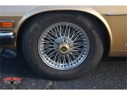 1987 Jaguar XJS (CC-2119400) for sale in Elkhart, Indiana