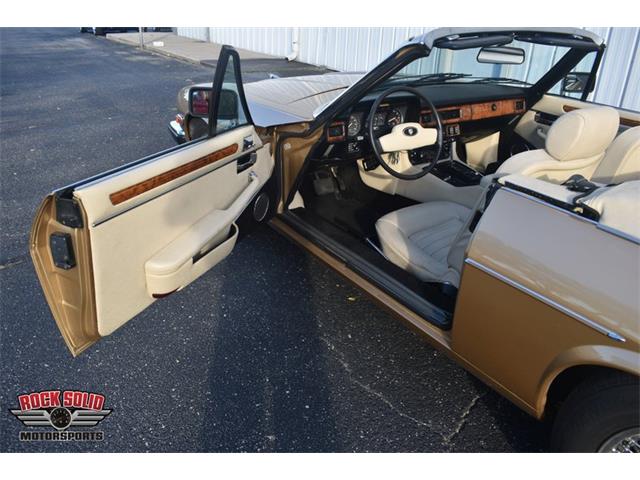 1987 Jaguar XJS (CC-2119400) for sale in Elkhart, Indiana