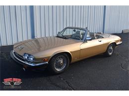 1987 Jaguar XJS (CC-2119400) for sale in Elkhart, Indiana