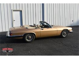 1987 Jaguar XJS (CC-2119400) for sale in Elkhart, Indiana