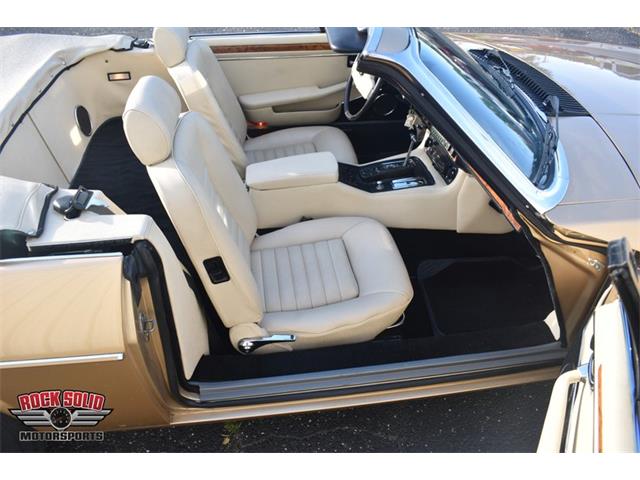 1987 Jaguar XJS (CC-2119400) for sale in Elkhart, Indiana
