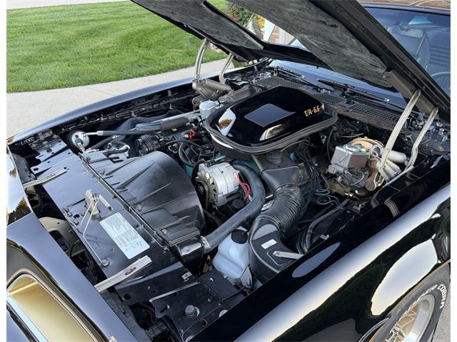 1978 Pontiac Firebird Trans Am (CC-2119426) for sale in Orrville, Ohio