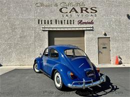 1967 Volkswagen Beetle (CC-2119442) for sale in Las Vegas, Nevada