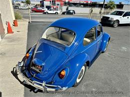 1967 Volkswagen Beetle (CC-2119442) for sale in Las Vegas, Nevada