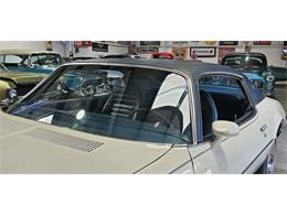 1972 Pontiac Firebird (CC-2119476) for sale in Hudson, Florida