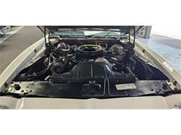 1972 Pontiac Firebird (CC-2119476) for sale in Hudson, Florida
