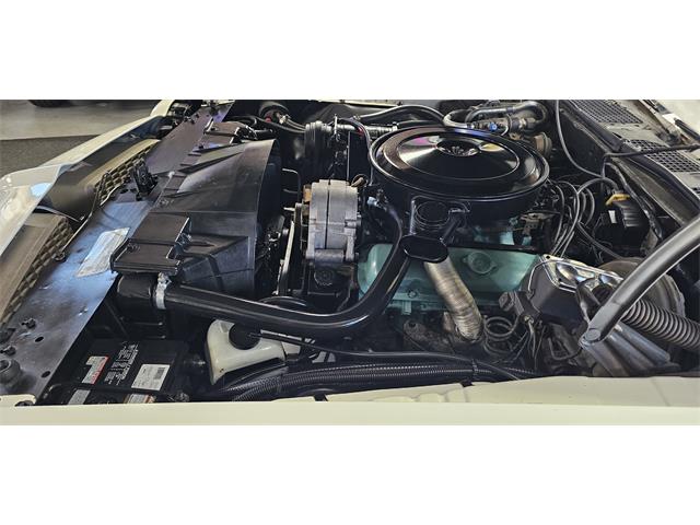 1972 Pontiac Firebird (CC-2119476) for sale in Hudson, Florida