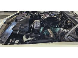 1972 Pontiac Firebird (CC-2119476) for sale in Hudson, Florida