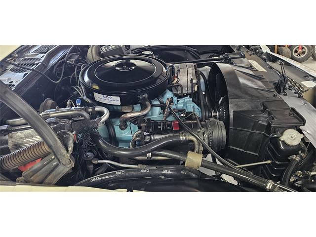 1972 Pontiac Firebird (CC-2119476) for sale in Hudson, Florida