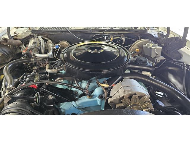 1972 Pontiac Firebird (CC-2119476) for sale in Hudson, Florida