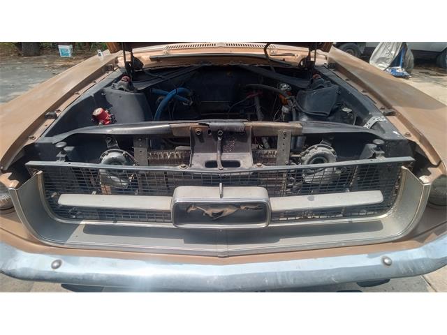 1967 Ford Mustang (CC-2119478) for sale in Lake Dallas, Texas