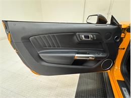 2019 Ford Mustang (CC-2119498) for sale in Morgantown, Pennsylvania