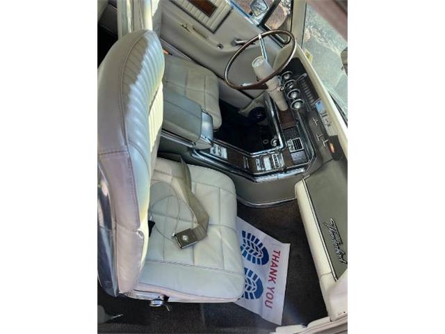 1966 Ford Thunderbird (CC-2110954) for sale in Cadillac, Michigan