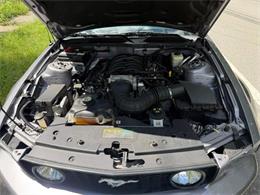 2006 Ford Mustang (CC-2119564) for sale in Greensboro, North Carolina