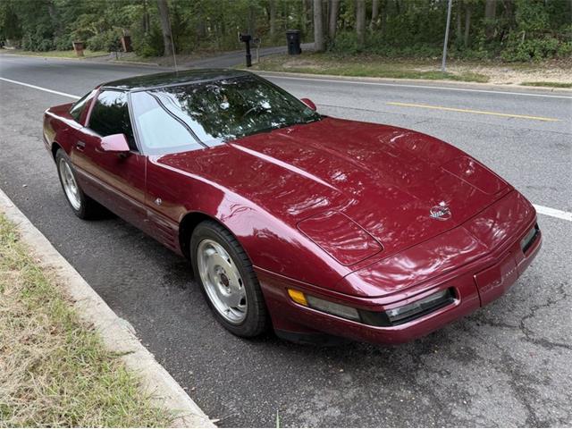 1993 Chevrolet Corvette (CC-2119565) for sale in Greensboro, North Carolina