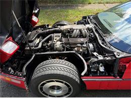 1985 Chevrolet Corvette (CC-2119567) for sale in Greensboro, North Carolina