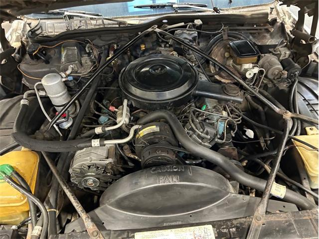 1981 Cadillac Fleetwood (CC-2119570) for sale in Greensboro, North Carolina