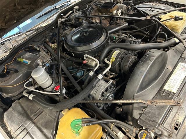 1981 Cadillac Fleetwood (CC-2119570) for sale in Greensboro, North Carolina