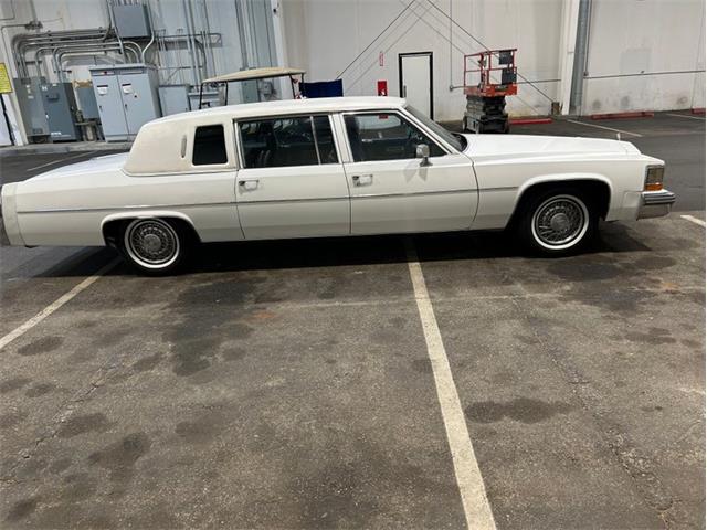 1981 Cadillac Fleetwood (CC-2119570) for sale in Greensboro, North Carolina