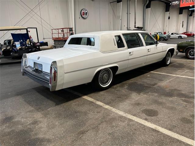 1981 Cadillac Fleetwood (CC-2119570) for sale in Greensboro, North Carolina