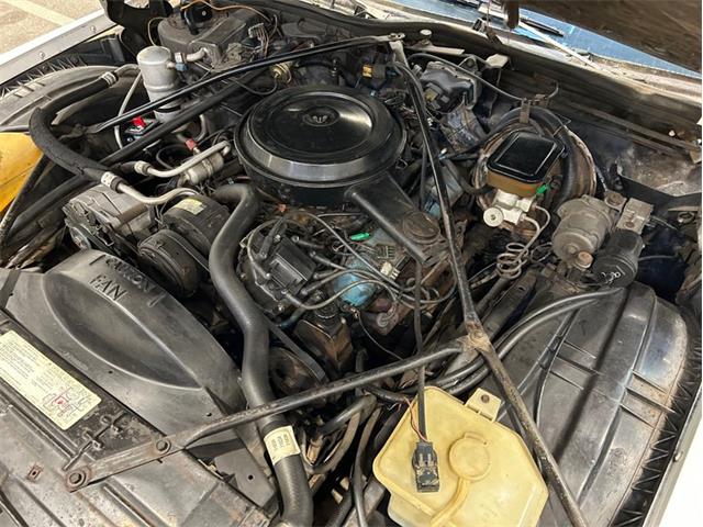 1981 Cadillac Fleetwood (CC-2119570) for sale in Greensboro, North Carolina