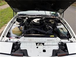 1984 Pontiac Firebird (CC-2119579) for sale in Greensboro, North Carolina