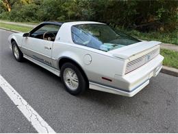 1984 Pontiac Firebird (CC-2119579) for sale in Greensboro, North Carolina