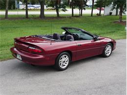 1994 Chevrolet Camaro (CC-2119605) for sale in Palmetto, Florida