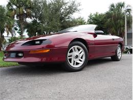 1994 Chevrolet Camaro (CC-2119605) for sale in Palmetto, Florida