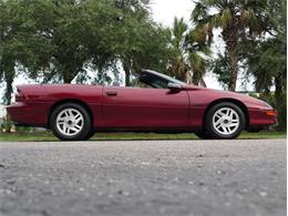 1994 Chevrolet Camaro (CC-2119605) for sale in Palmetto, Florida