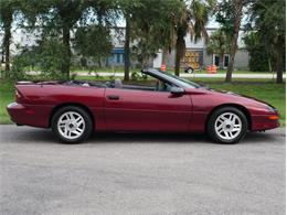 1994 Chevrolet Camaro (CC-2119605) for sale in Palmetto, Florida