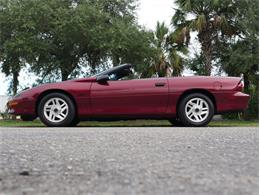 1994 Chevrolet Camaro (CC-2119605) for sale in Palmetto, Florida