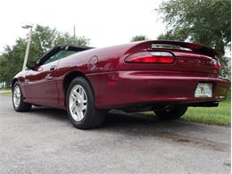 1994 Chevrolet Camaro (CC-2119605) for sale in Palmetto, Florida