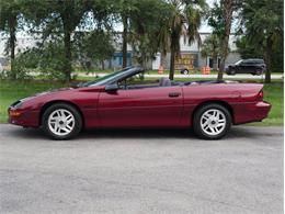 1994 Chevrolet Camaro (CC-2119605) for sale in Palmetto, Florida