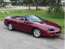 1994 Chevrolet Camaro (CC-2119605) for sale in Palmetto, Florida