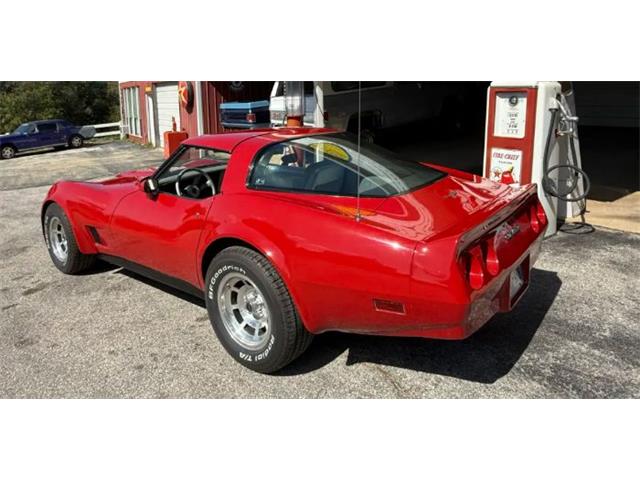 1981 Chevrolet Corvette (CC-2119611) for sale in Cadillac, Michigan