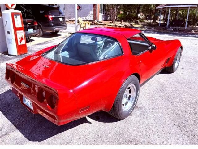 1981 Chevrolet Corvette (CC-2119611) for sale in Cadillac, Michigan